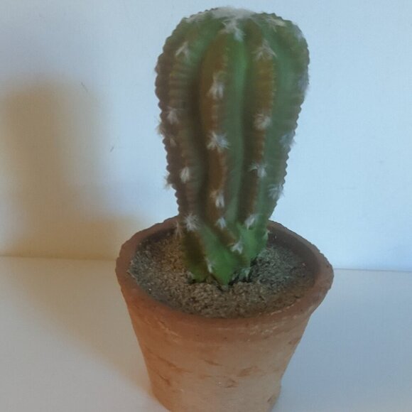 NWT Ashland Faux Cactus Rustic Clay Pot Floral Succulent Summer Desert Michaels - Picture 4 of 6